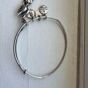 Alex and Ani Silver Bracelet with Charms